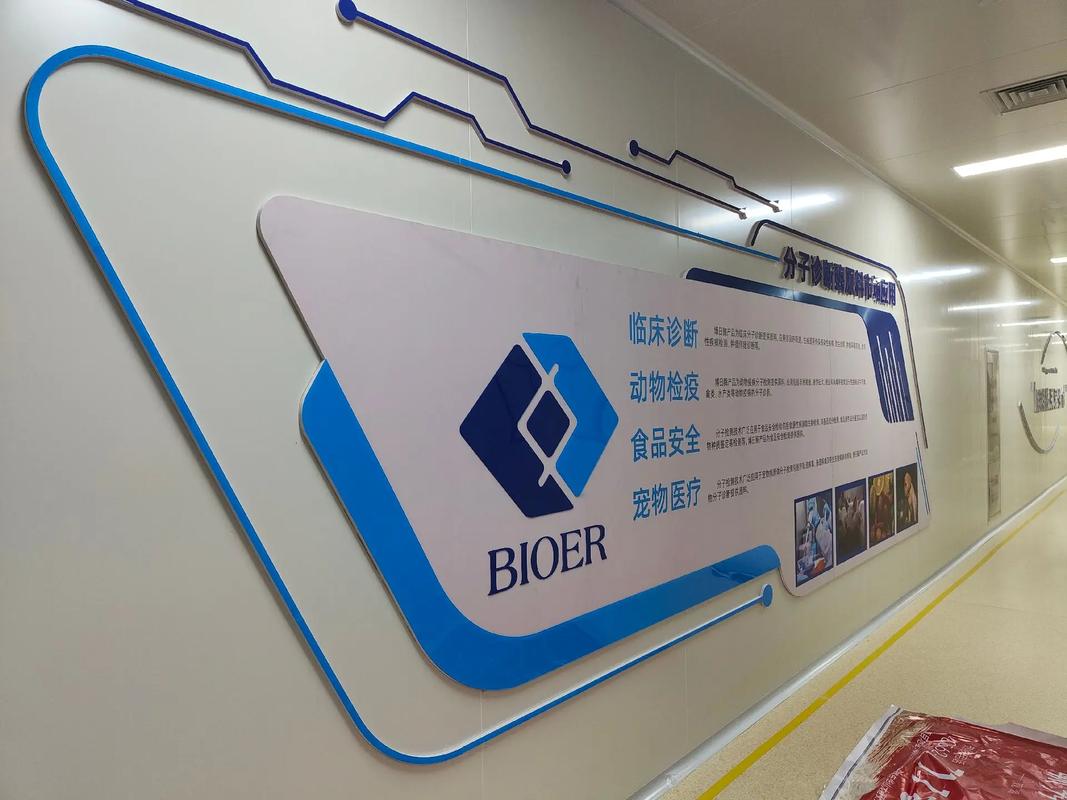 企业文化墙创意设计 让每一面墙都会“说话”